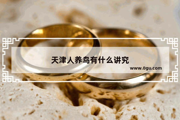 天津人养鸟有什么讲究