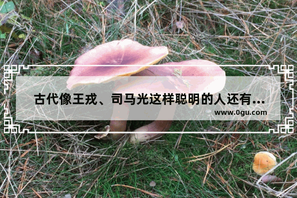 古代像王戎、司马光这样聪明的人还有哪些