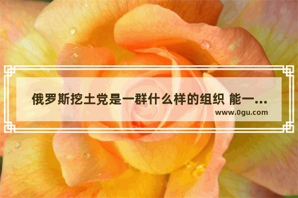 俄罗斯挖土党是一群什么样的组织 能一夜暴富吗