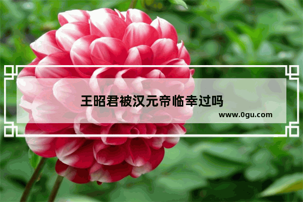 王昭君被汉元帝临幸过吗