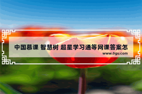 中国慕课 智慧树 超星学习通等网课答案怎么查