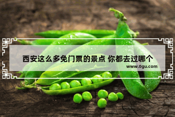 西安这么多免门票的景点 你都去过哪个