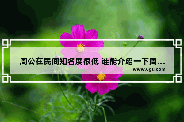 周公在民间知名度很低 谁能介绍一下周公的生平事迹