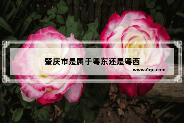 肇庆市是属于粤东还是粤西