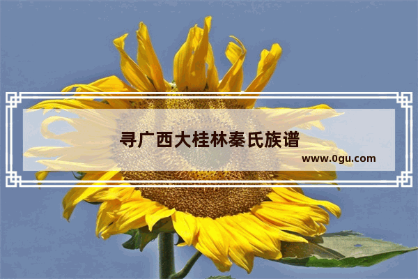 寻广西大桂林秦氏族谱