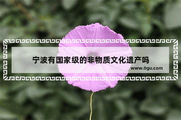 宁波有国家级的非物质文化遗产吗