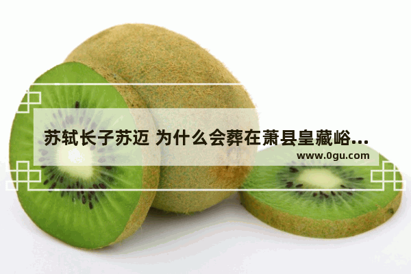 苏轼长子苏迈 为什么会葬在萧县皇藏峪北侧的小龙岗山