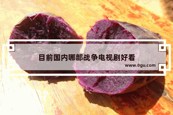 目前国内哪部战争电视剧好看
