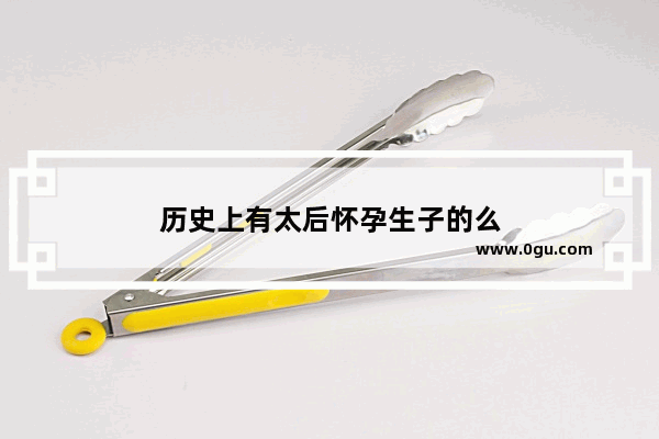 历史上有太后怀孕生子的么