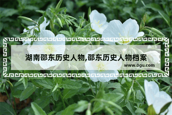 湖南邵东历史人物,邵东历史人物档案