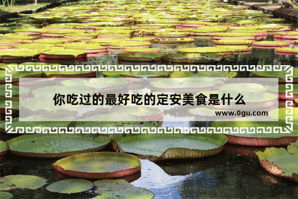你吃过的最好吃的定安美食是什么