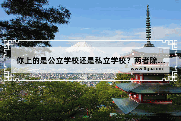 你上的是公立学校还是私立学校？两者除了价格外 其他方面的差别大吗？有哪些差距