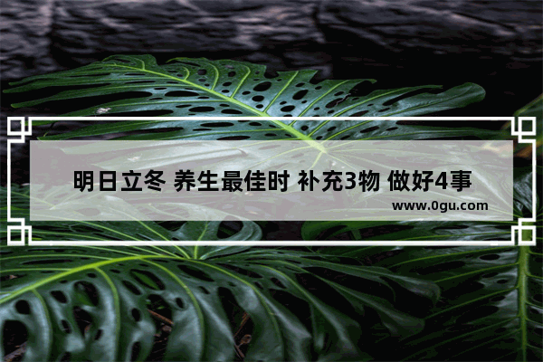 明日立冬 养生最佳时 补充3物 做好4事 预防5寒 都指什么