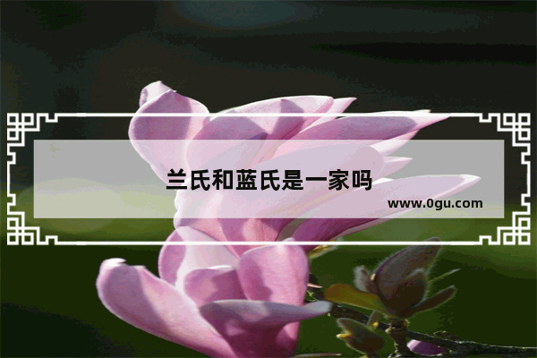 兰氏和蓝氏是一家吗