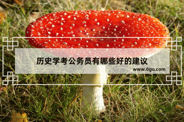 历史学考公务员有哪些好的建议