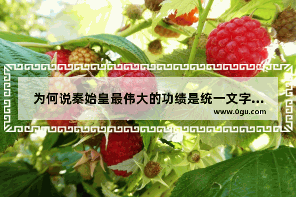 为何说秦始皇最伟大的功绩是统一文字、货币、法律和度量衡