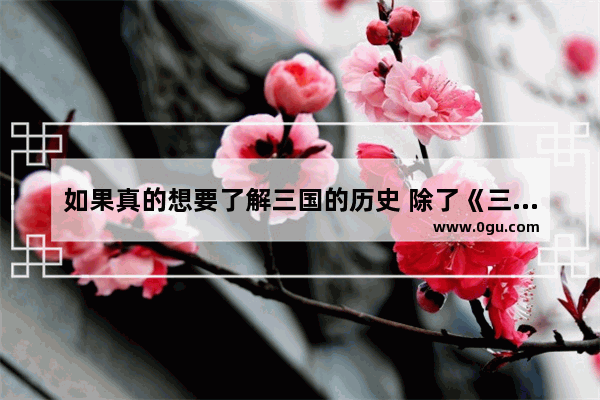 如果真的想要了解三国的历史 除了《三国志》 还有其他史书吗