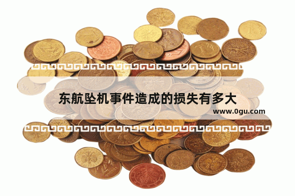 东航坠机事件造成的损失有多大