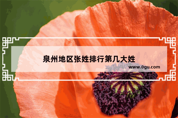 泉州地区张姓排行第几大姓
