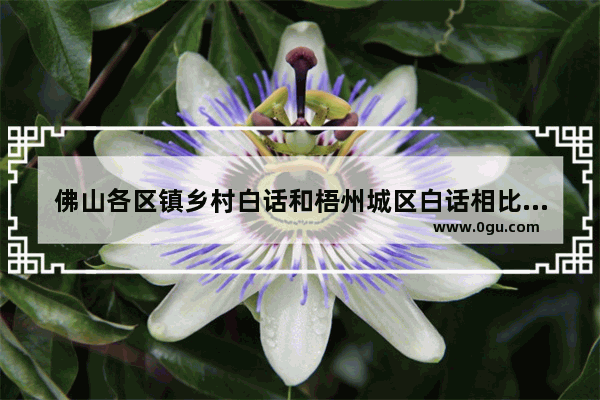 佛山各区镇乡村白话和梧州城区白话相比 哪个更接近广州白话