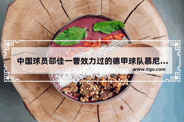 中国球员邵佳一曾效力过的德甲球队慕尼黑1860 如今发展得好吗