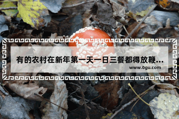 有的农村在新年第一天一日三餐都得放鞭炮 究竟是什么含义