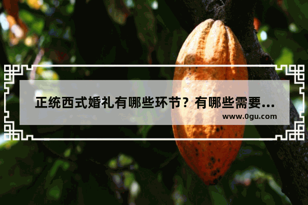 正统西式婚礼有哪些环节？有哪些需要注意的