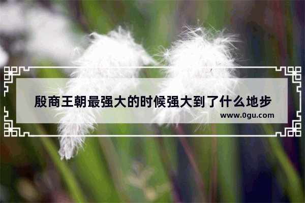 殷商王朝最强大的时候强大到了什么地步
