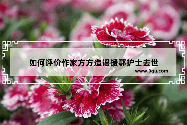 如何评价作家方方造谣援鄂护士去世