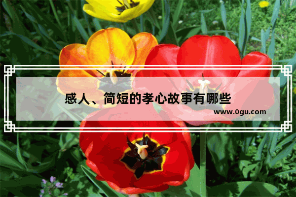 感人、简短的孝心故事有哪些