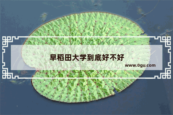 早稻田大学到底好不好