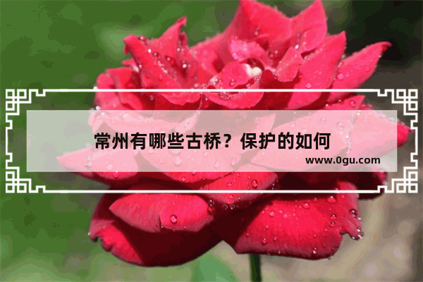 常州有哪些古桥？保护的如何