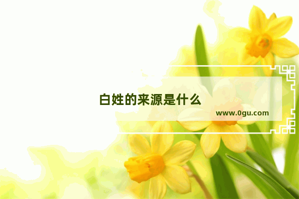 白姓的来源是什么
