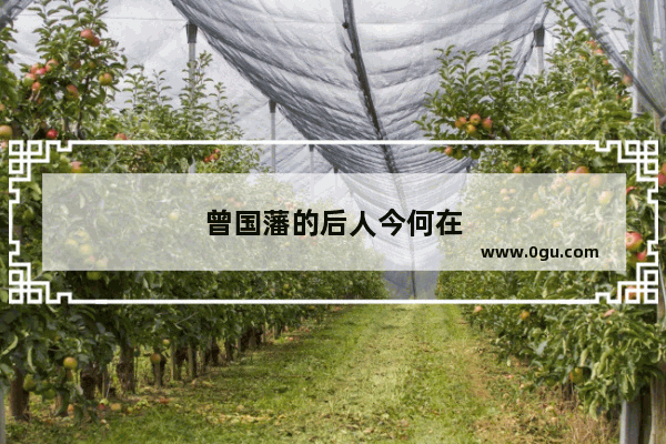 曾国藩的后人今何在