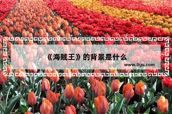《海贼王》的背景是什么