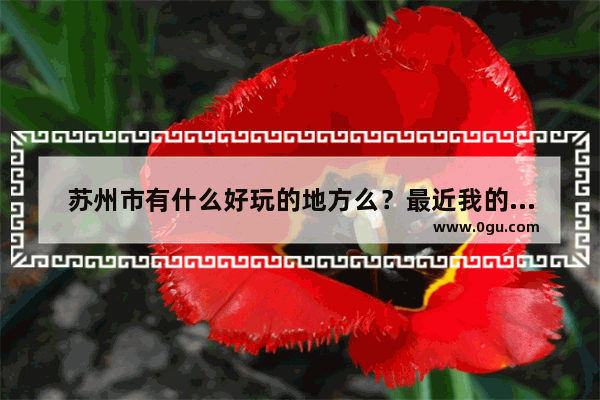 苏州市有什么好玩的地方么？最近我的头条号苏州新闻推送的挺多的 什么原因呢