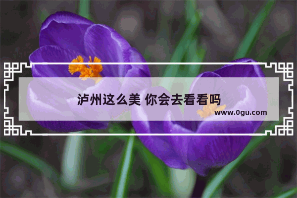 泸州这么美 你会去看看吗