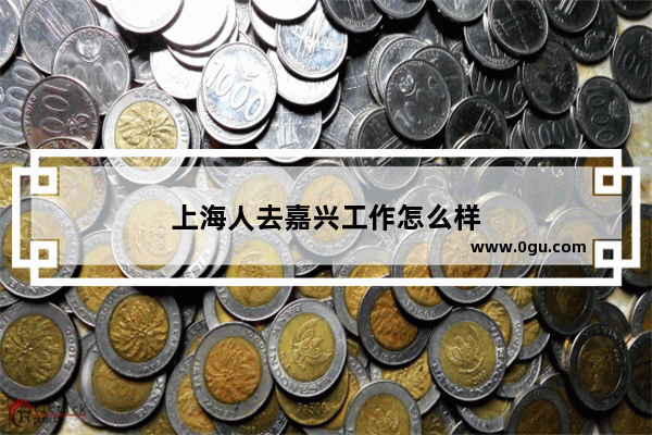 上海人去嘉兴工作怎么样
