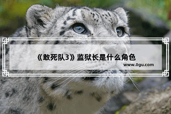 《敢死队3》监狱长是什么角色