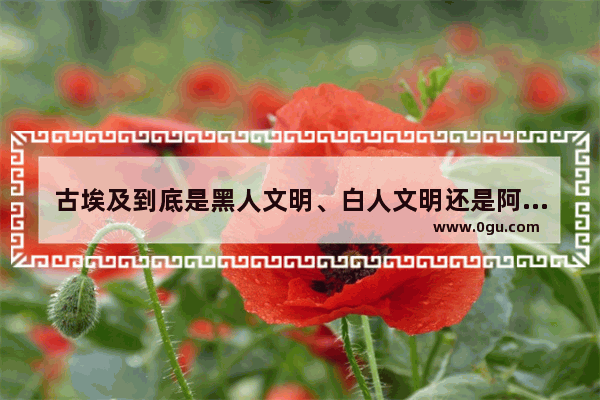 古埃及到底是黑人文明、白人文明还是阿拉伯人文明