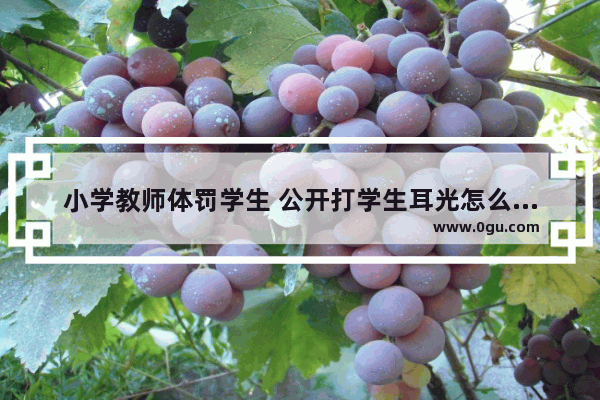 小学教师体罚学生 公开打学生耳光怎么投诉