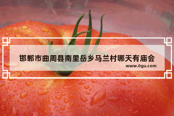 邯郸市曲周县南里岳乡马兰村哪天有庙会