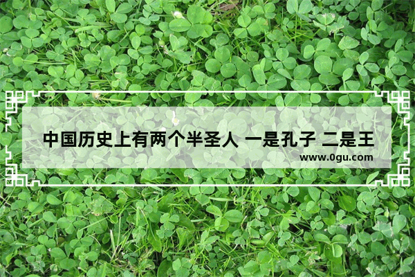 中国历史上有两个半圣人 一是孔子 二是王阳明 最后半个是谁