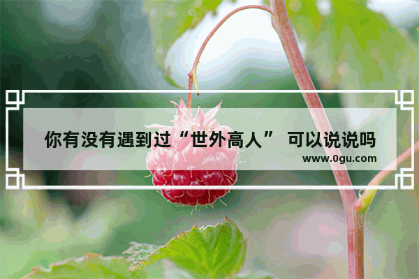 你有没有遇到过“世外高人” 可以说说吗