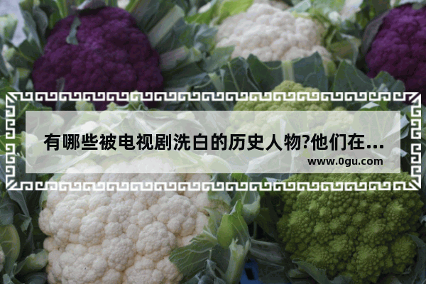 有哪些被电视剧洗白的历史人物?他们在历史上是什么样