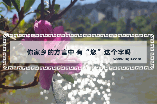 你家乡的方言中 有“您”这个字吗