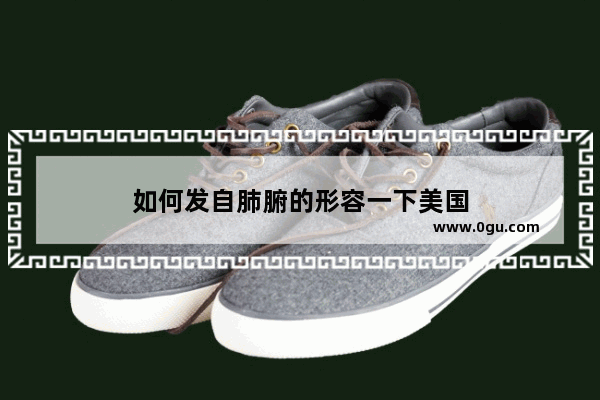 如何发自肺腑的形容一下美国