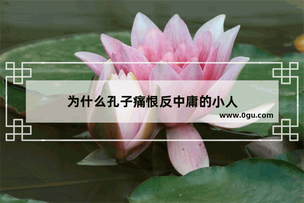 为什么孔子痛恨反中庸的小人