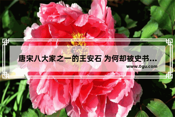 唐宋八大家之一的王安石 为何却被史书评为北宋的“奸臣”