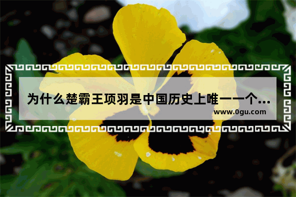为什么楚霸王项羽是中国历史上唯一一个“不以成败论英雄”的英雄 今人有什么启示